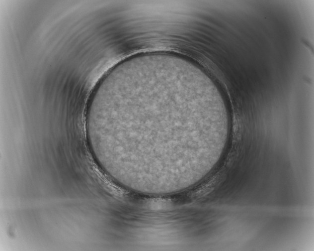 X0000103950789200810171837