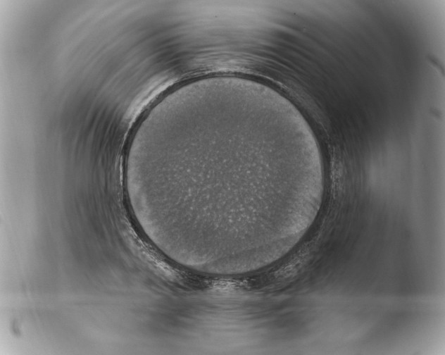 X0000103950790200810171837