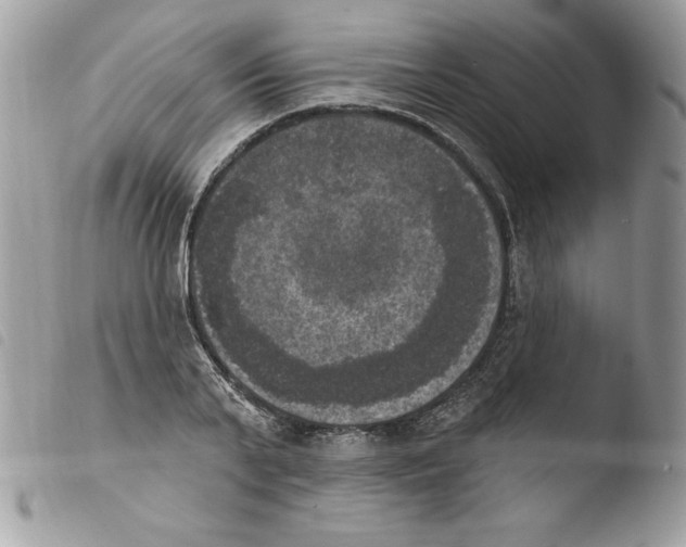 X0000103950791200810171837