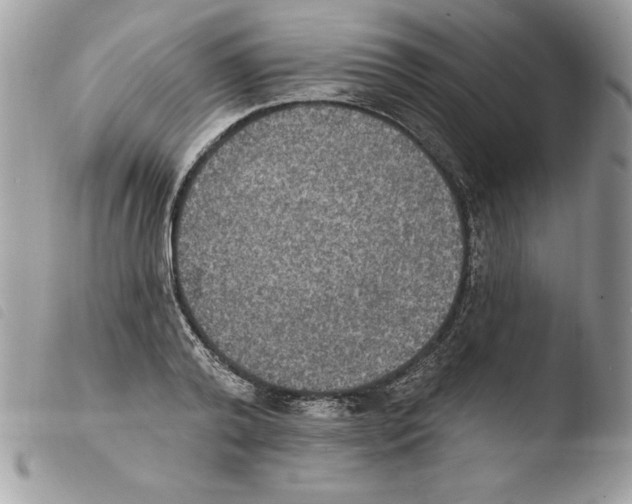 X0000103950792200810171837