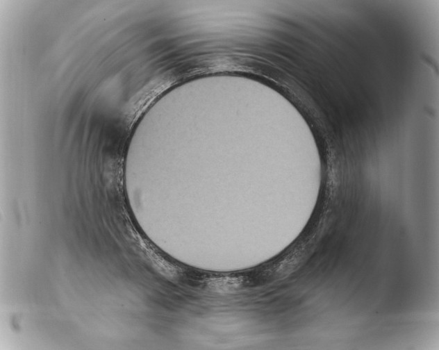 X0000103950793200810171837
