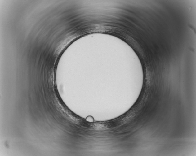 X0000103950794200810171837