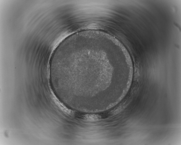 X0000103950795200810171837