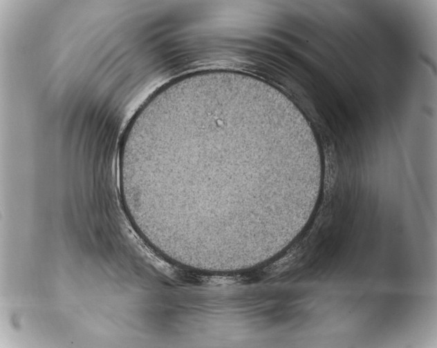 X0000103950796200810171837