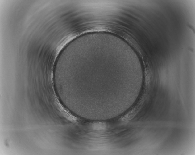 X0000103950797200810171837
