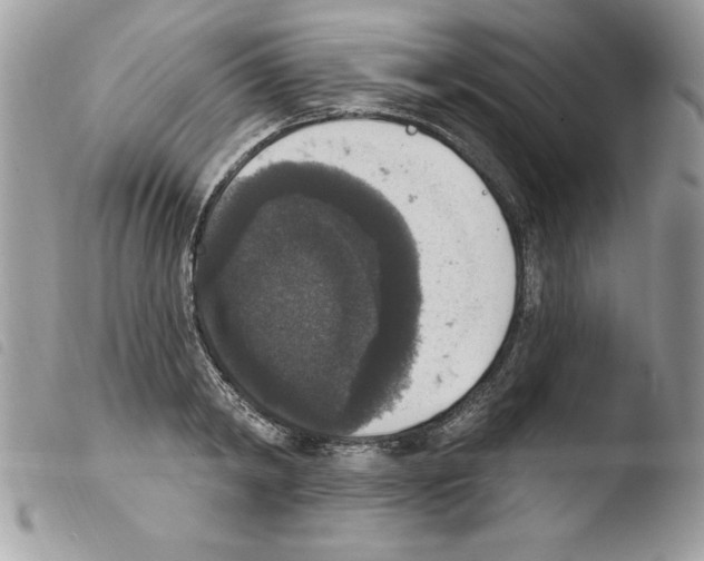 X0000103950798200810171837