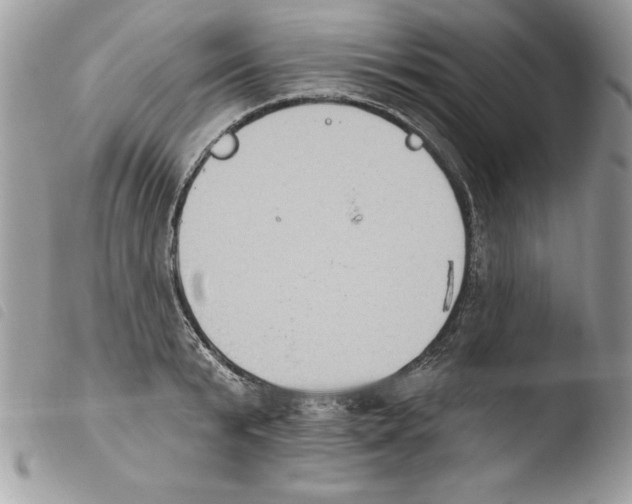 X0000103950799200810171837