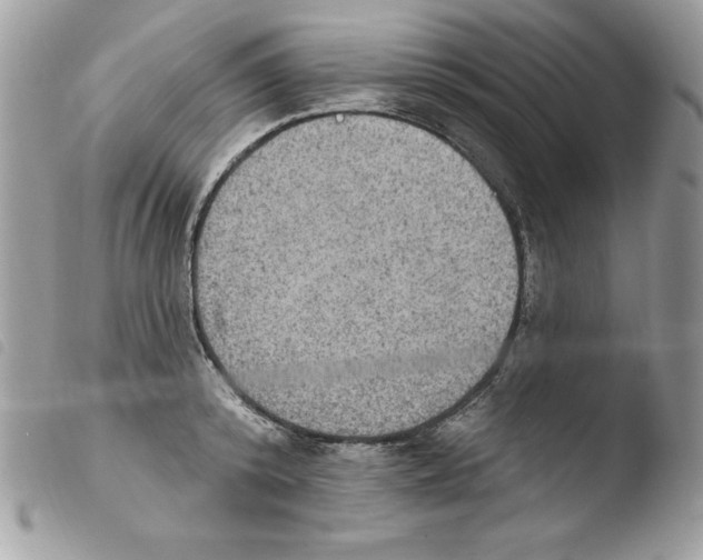 X0000103950800200810171837
