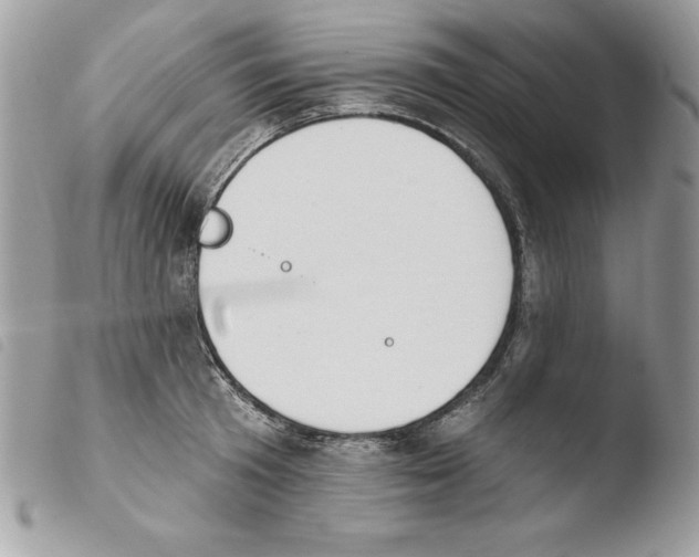 X0000103950801200810171837