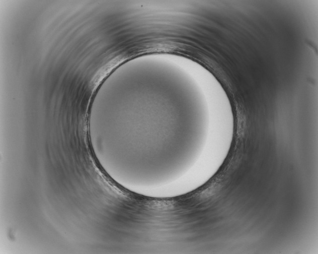 X0000103950802200810171837