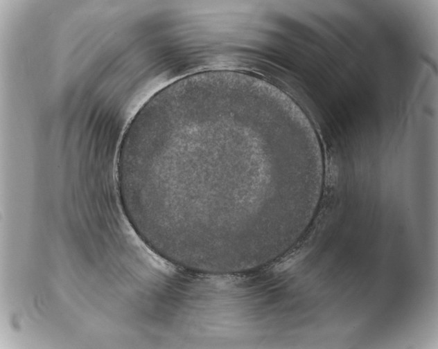 X0000103950803200810171837