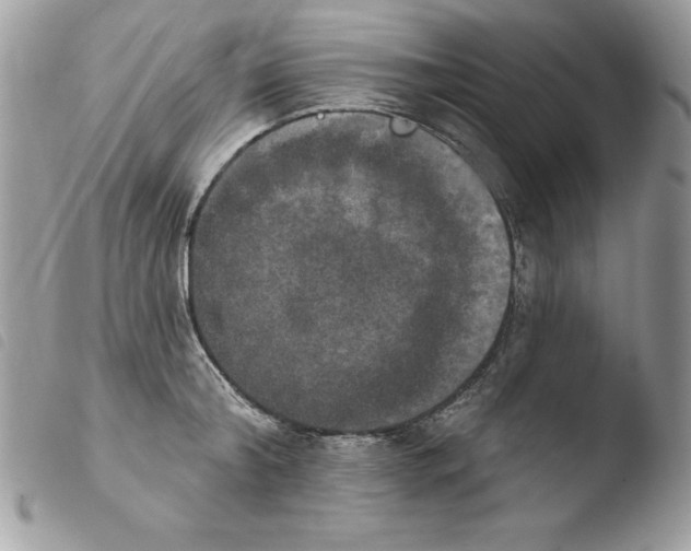 X0000103950804200810171837