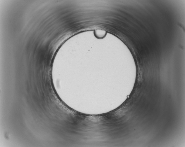 X0000103950805200810171837