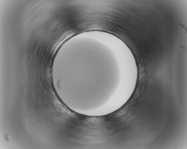 X0000103950806200810171837