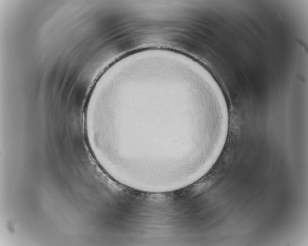 X0000103950807200810171837
