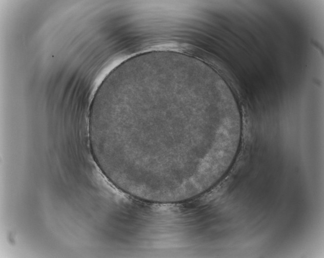 X0000103950808200810171837