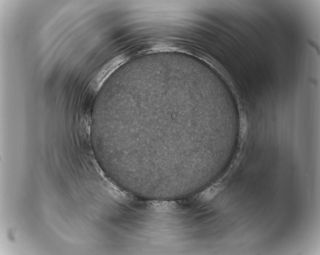 X0000103950809200810171837
