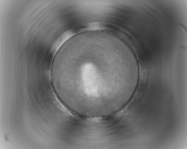 X0000103950810200810171837