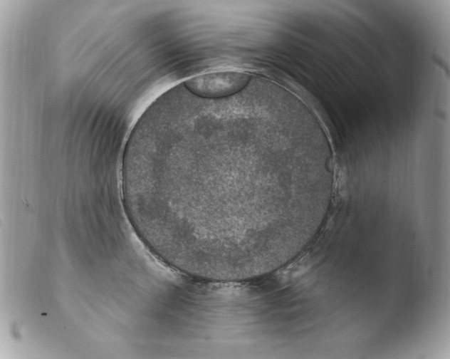 X0000103950811200810171837