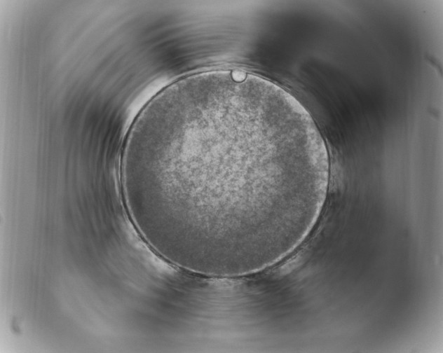 X0000103950812200810171837
