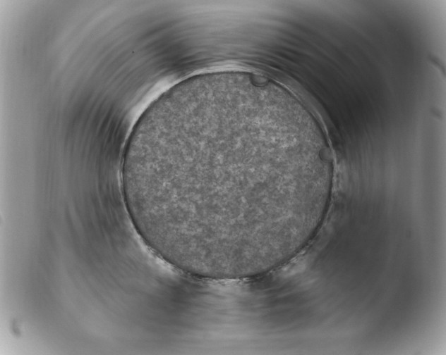 X0000103950813200810171837