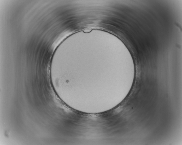 X0000103950814200810171837