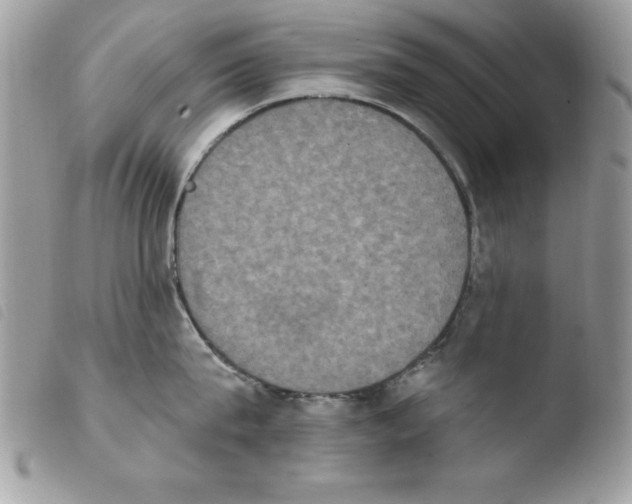 X0000103950815200810171837