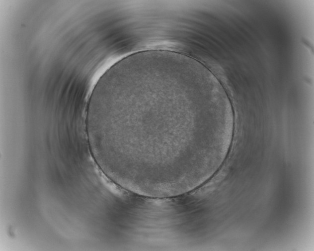 X0000103950816200810171837