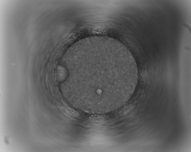 X0000103950817200810171836