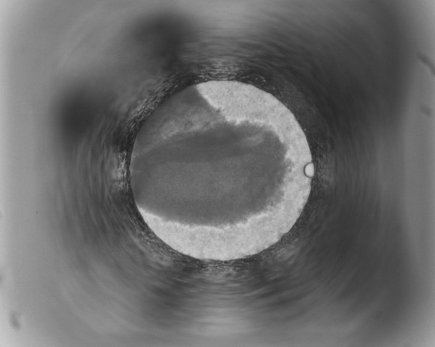 X0000103950818200810171836