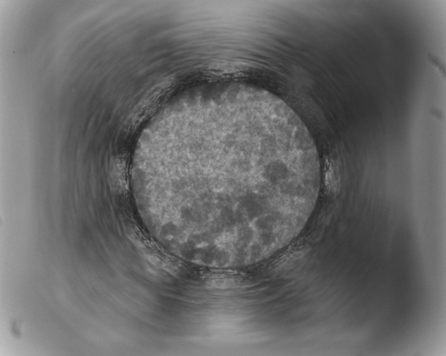 X0000103950819200810171836