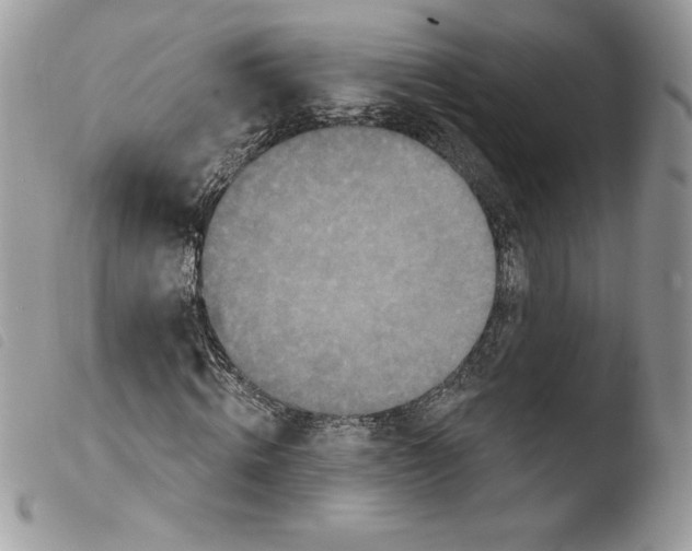 X0000103950820200810171836