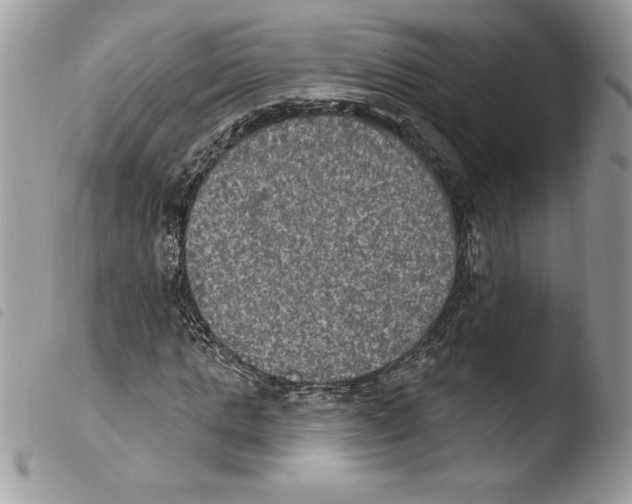 X0000103950821200810171836