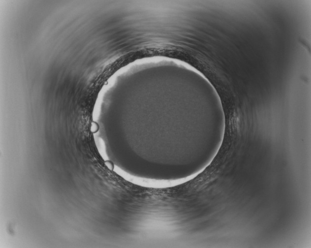 X0000103950822200810171836