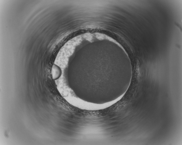 X0000103950823200810171836