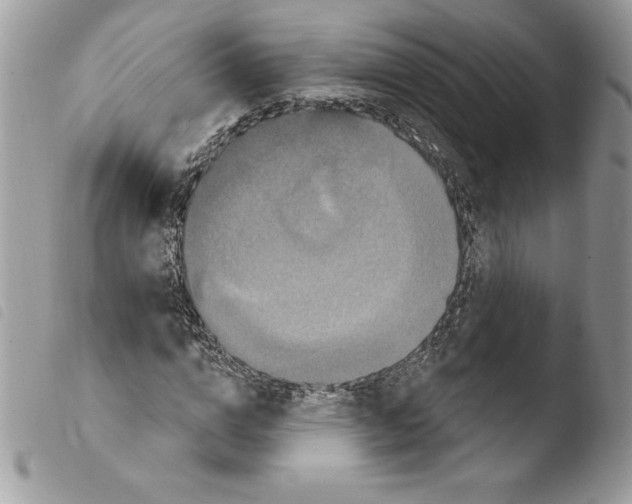 X0000103950824200810171836
