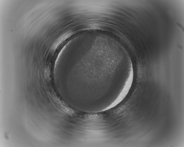 X0000103950826200810171836