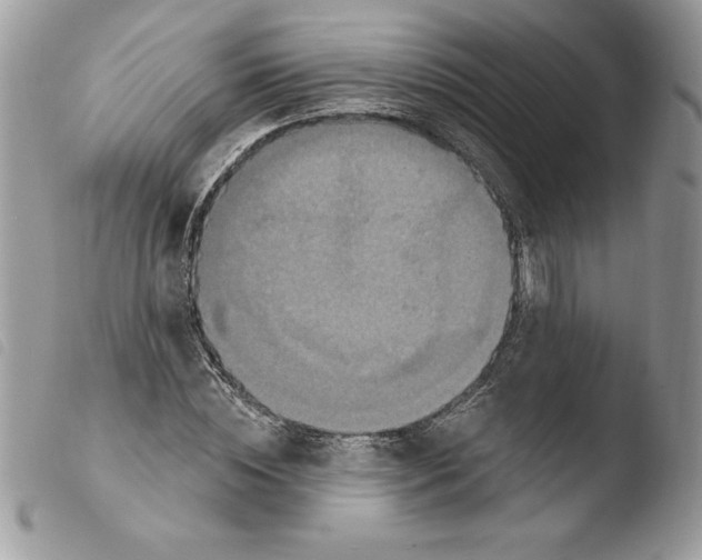 X0000103950828200810171836