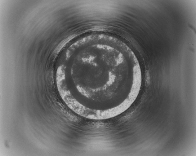 X0000103950829200810171836