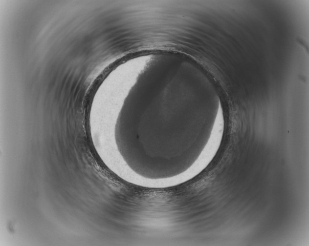 X0000103950830200810171836