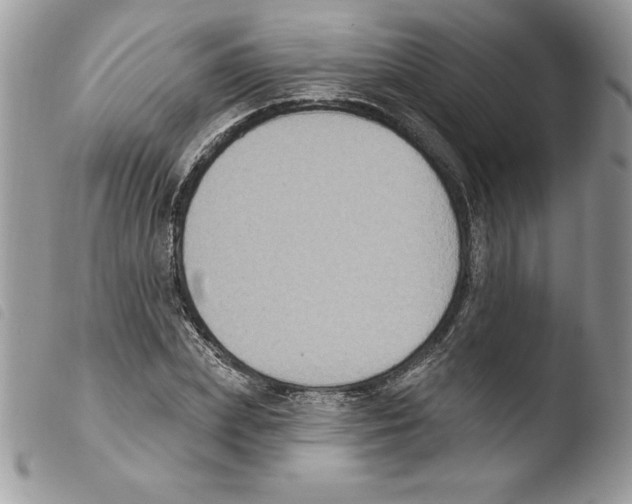 X0000103950831200810171836