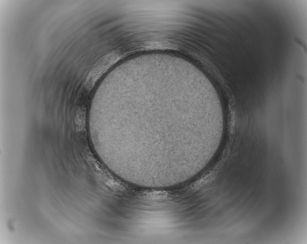 X0000103950833200810171836