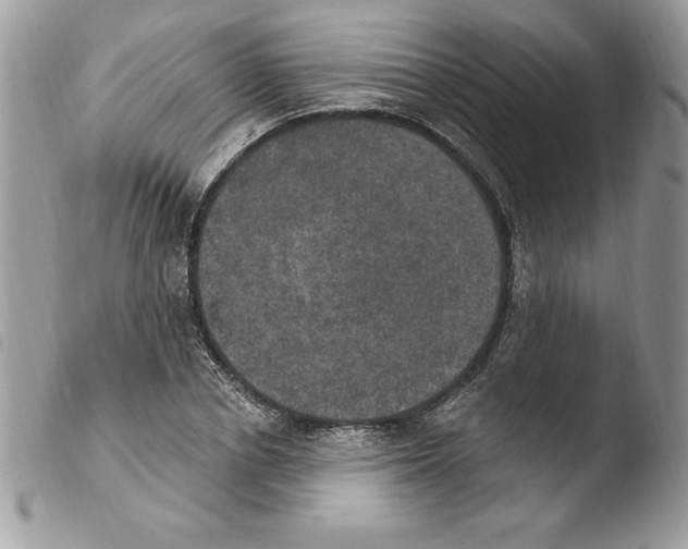 X0000103950834200810171836