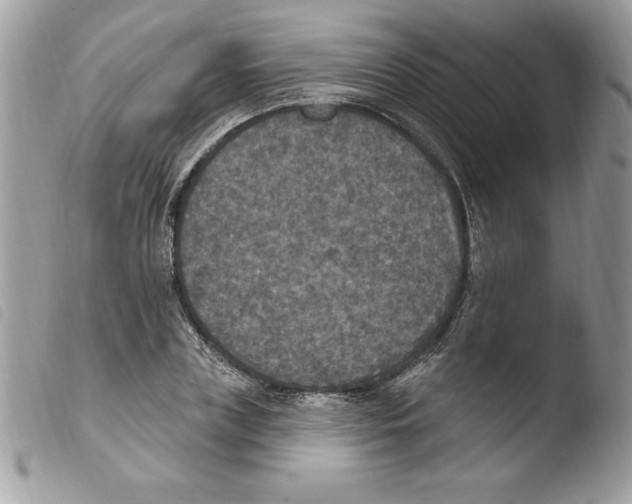 X0000103950835200810171836