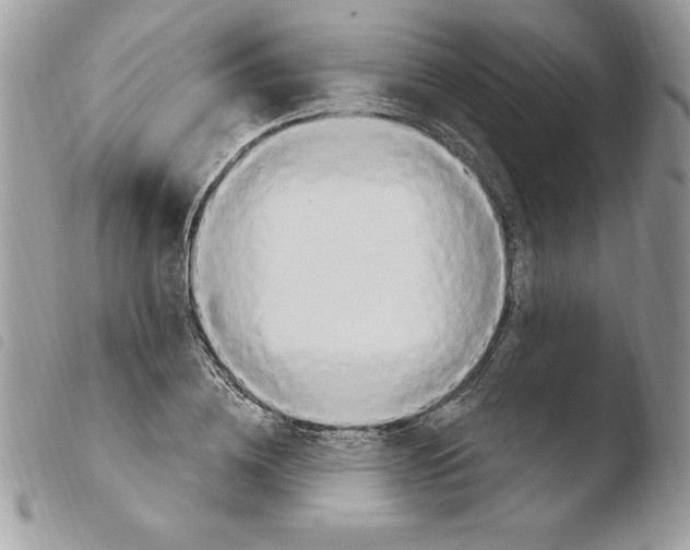 X0000103950836200810171836