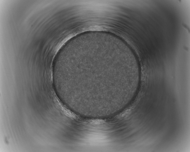 X0000103950837200810171836