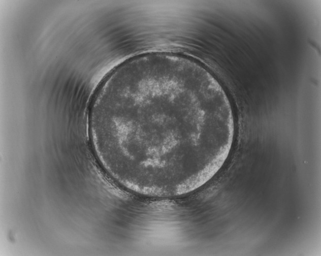 X0000103950838200810171836