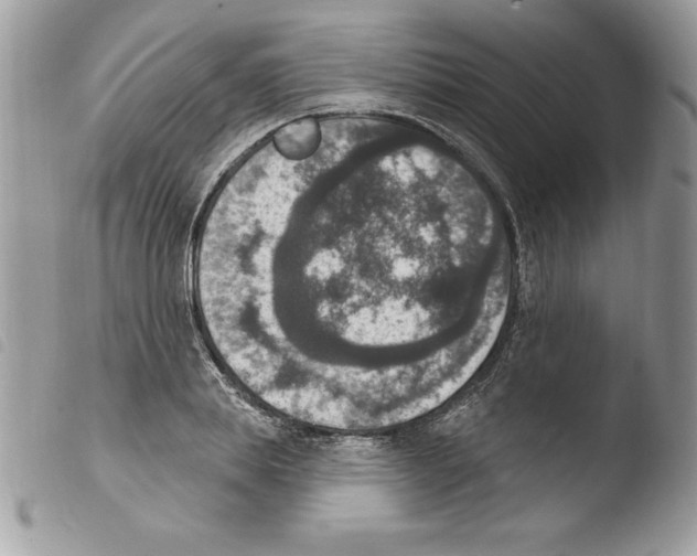 X0000103950839200810171836
