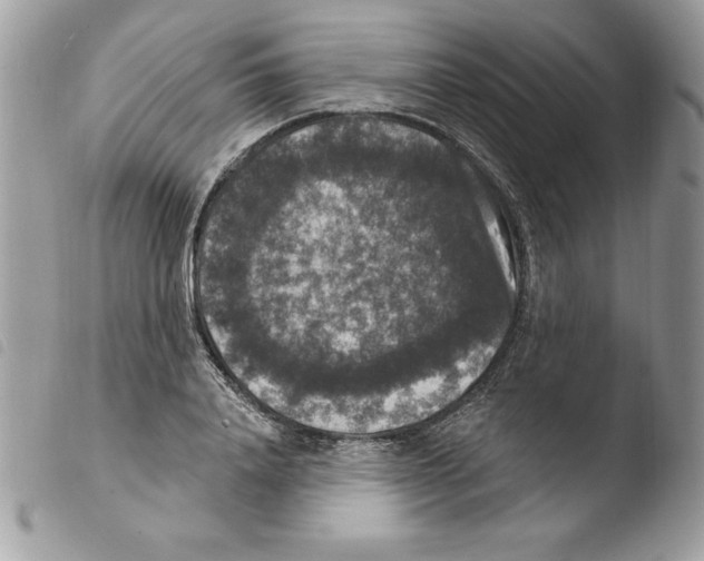 X0000103950840200810171836