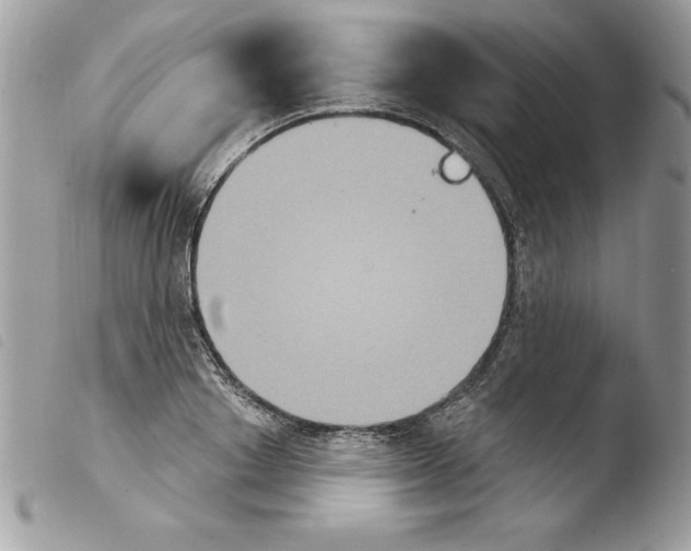 X0000103950842200810171836